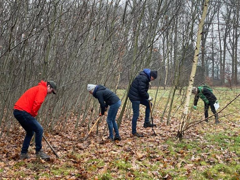 Doneer een zaailing in Haaren