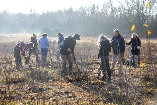 Boomverplant op Brabants Oogstdriedaagse in Haaren Oisterwijk