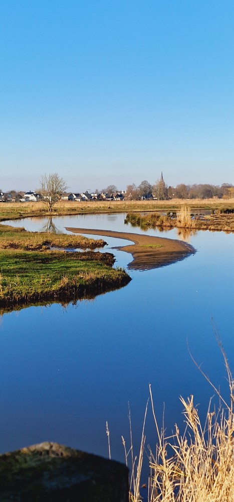 Omdat hij zo mooi is