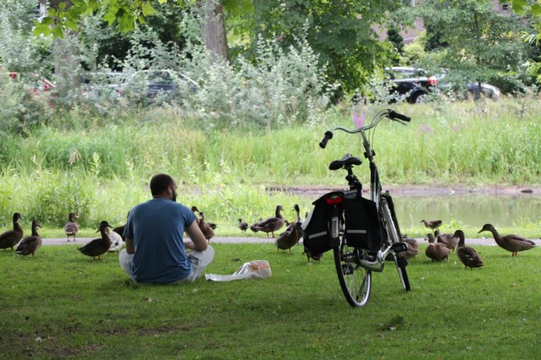 Bezoek Uitpunt Oisterwijk met Uitagenda