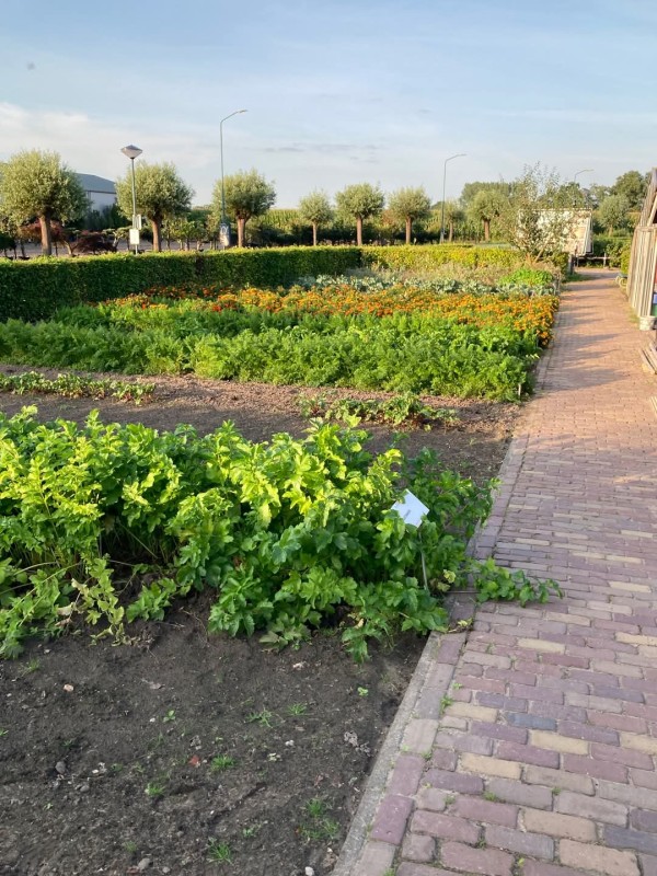 Workshop bodemleven en natuurlijke bestrijding